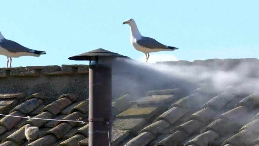 Nieuwe paus: witte rook stijgt op uit Sixtijnse Kapel