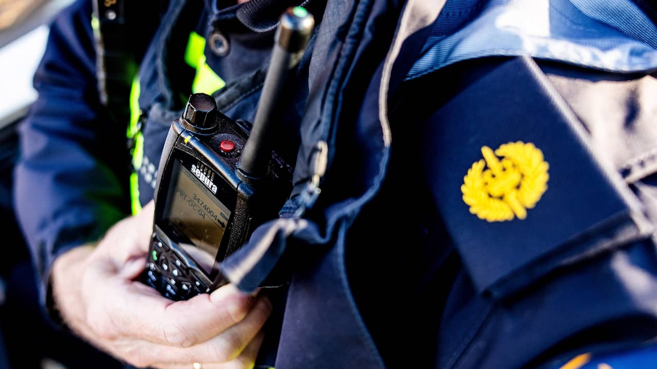 Politie krijgt melding van wolf in Wageningen, maar blijkt vermiste hond