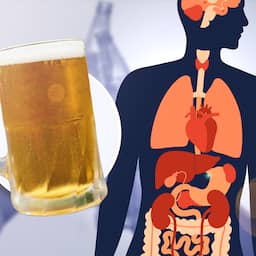 Explainer | Wat doet alcohol in je lichaam tijdens een hittegolf?