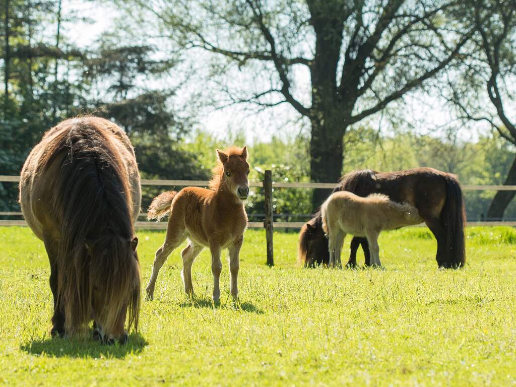 Het is een schitterende moederdag met veel zon en warm