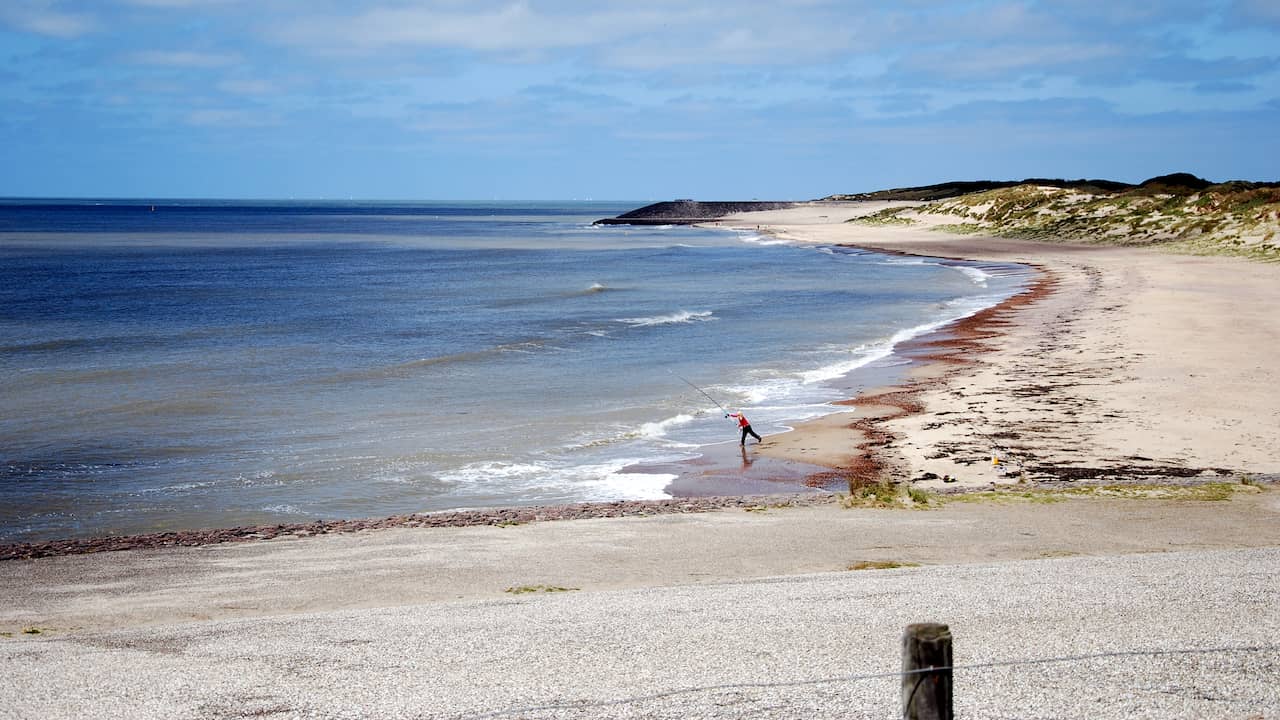 Gemeente zoekt vrijwilligers opruimactie stranden Borsele