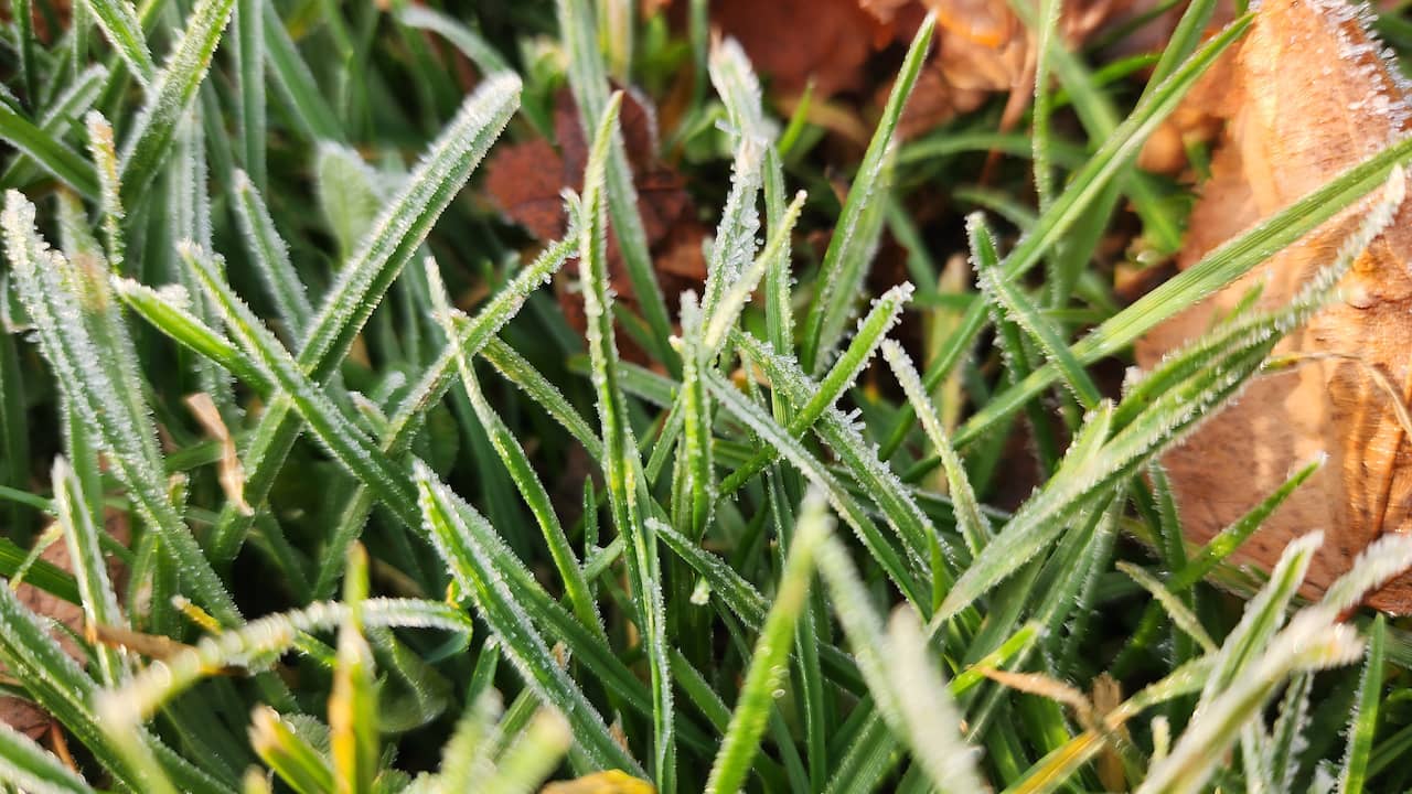 Nu al vorst aan de grond gemeten: 'Uitzonderlijk vroeg'