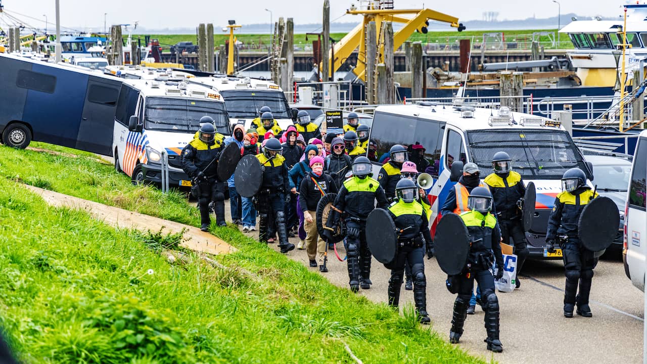Sinterklaasintocht Yerseke afgelast vanwege zorgen over protesten en veiligheid