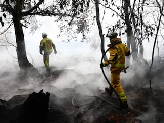 Natuurbrand België blijft smeulen, maar breidt niet verder uit richting Duitsland