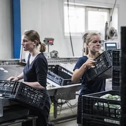 Nearly a quarter million young people want to work more hours