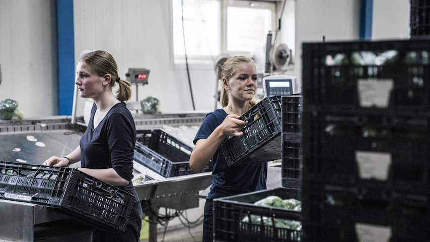bijna-kwart-miljoen-nederlandse-jongeren-wil-meer-uren-werken.jpg