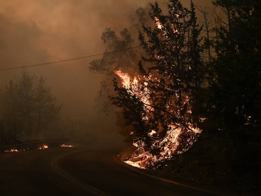 Griekse ziekenhuizen ontruimd wegens bosbranden bij Athene