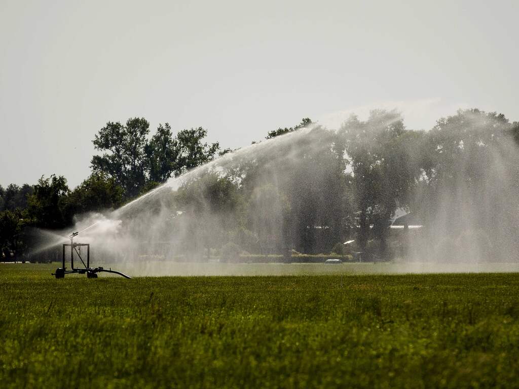 Verbod op beregening in deel Brabant: 'Grenzen waterverbruik zijn bereikt'
