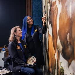 NU+ | De Stier bijna opgeknapt, maar restauratoren zijn nog niet van hem af