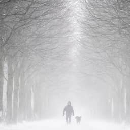 Live sneeuw | Storm Goretti trekt over Europa, oproep aan mensen in noorden om alert te zijn