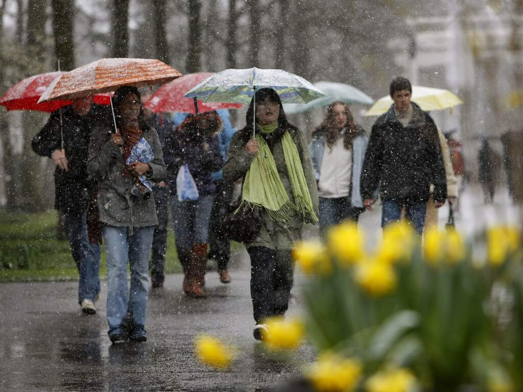 Weerbericht | Eieren zoeken op Tweede Paasdag kan het beste met een paraplu