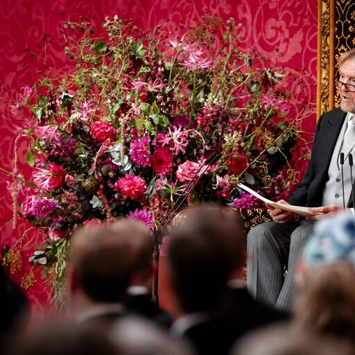 Illustratie bij: Koning in troonrede: 'Oplossen problemen kost tijd, niet alles kan tegelijk'