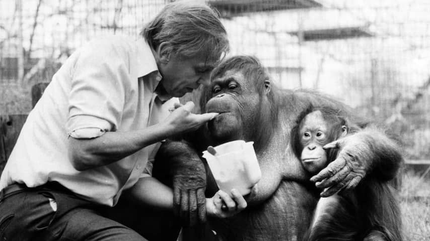 'Natuurverschijnsel' David Attenborough stond ooit oog in oog met een horde schreeuwende kannibalen