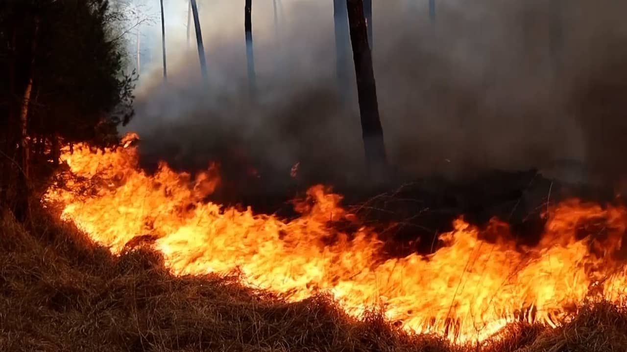Brandweer probeert grote bosbrand in Drunen te blussen