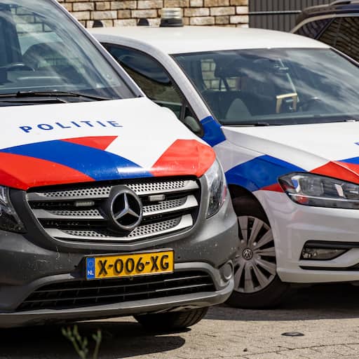 Man (53) opgepakt voor zeer ernstig zedendelict in zomer van 1993