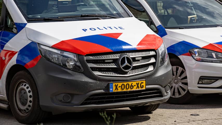 Man (53) opgepakt voor zeer ernstig zedendelict in zomer van 1993