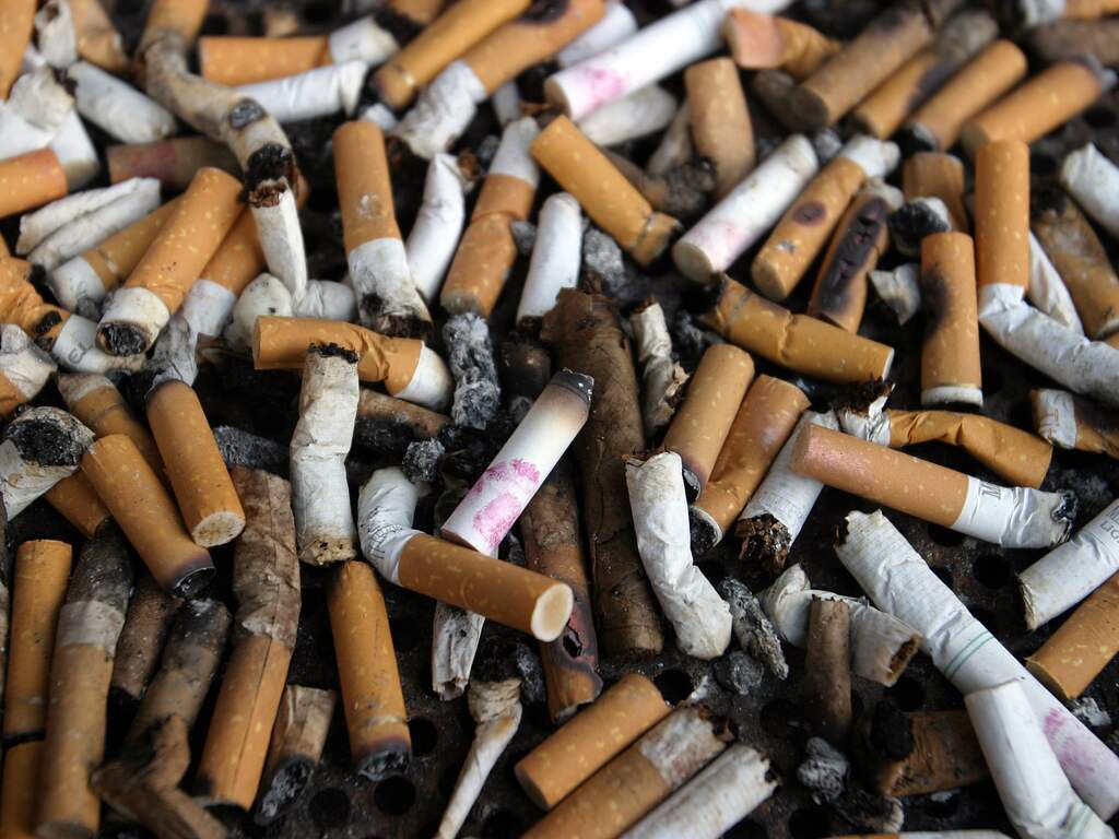 Vrijwilligers halen 86.954 peuken van strand waarvan de meeste bij Zandvoort