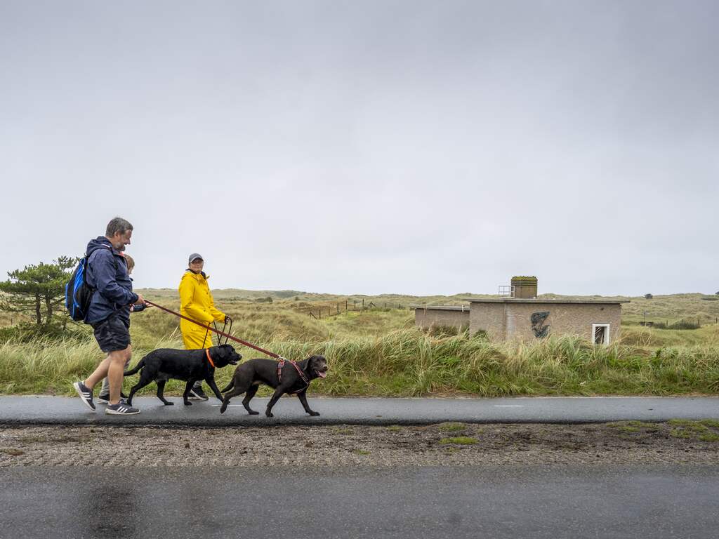 Weerbericht | Regenachtig begin van wisselvallige dag