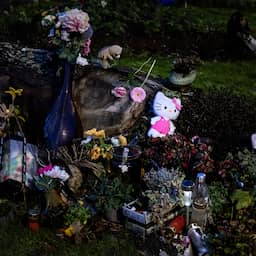 Mes met DNA van vermoorde Lisa gevonden in kluisje van verdachte