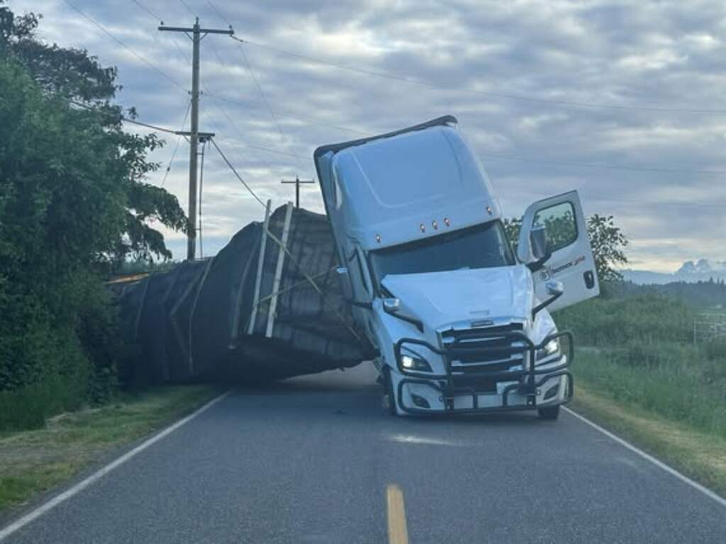 250 miljoen bijen ontsnapt doordat vrachtwagen omslaat bij grens VS en Canada