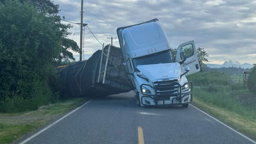 250 miljoen bijen ontsnapt nadat vrachtwagen omslaat bij grens VS en Canada | Buitenland | NU.nl