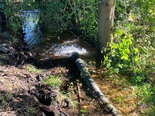 Waterschappen pompen ondanks verbod zelf grondwater op om vissen te redden