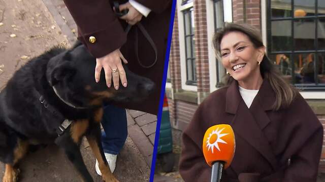 Hond van Yesilgöz hapt naar microfoon van journalist