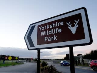 Brits dierenpark langer dicht na dood van man in tijgerverblijf, dier niet afgemaakt