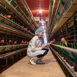 People worldwide eat nearly six times as much chicken as in 1961