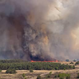 Live natuurbrand Veluwe | Blussen gaat nog zeker de hele nacht duren