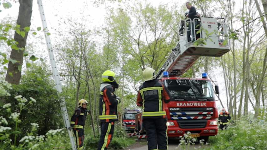 Brandweer haalt vrouw uit boom na mislukte poging om kat te redden