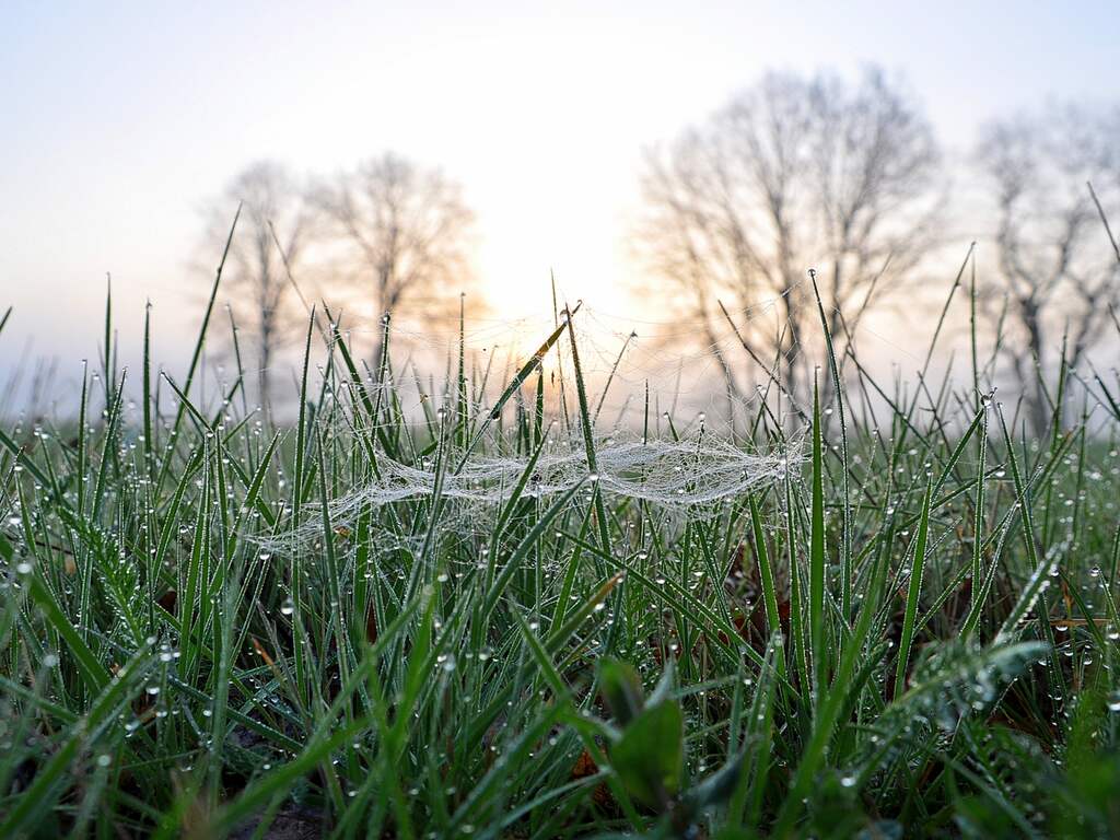 Zondag 2 april: De dag begon mistig en fris in Zuidoost-Brabant.