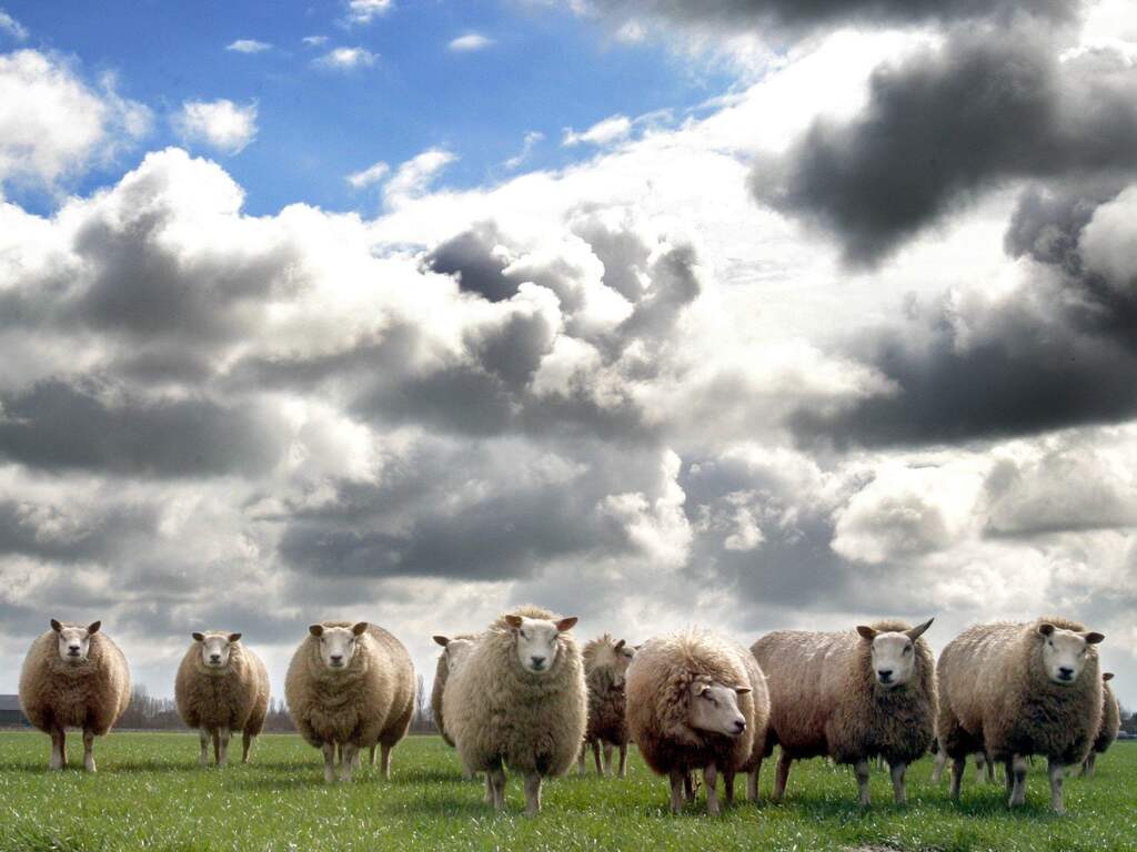 Weerbericht: Wolken en zon wisselen elkaar af, ook wat buien