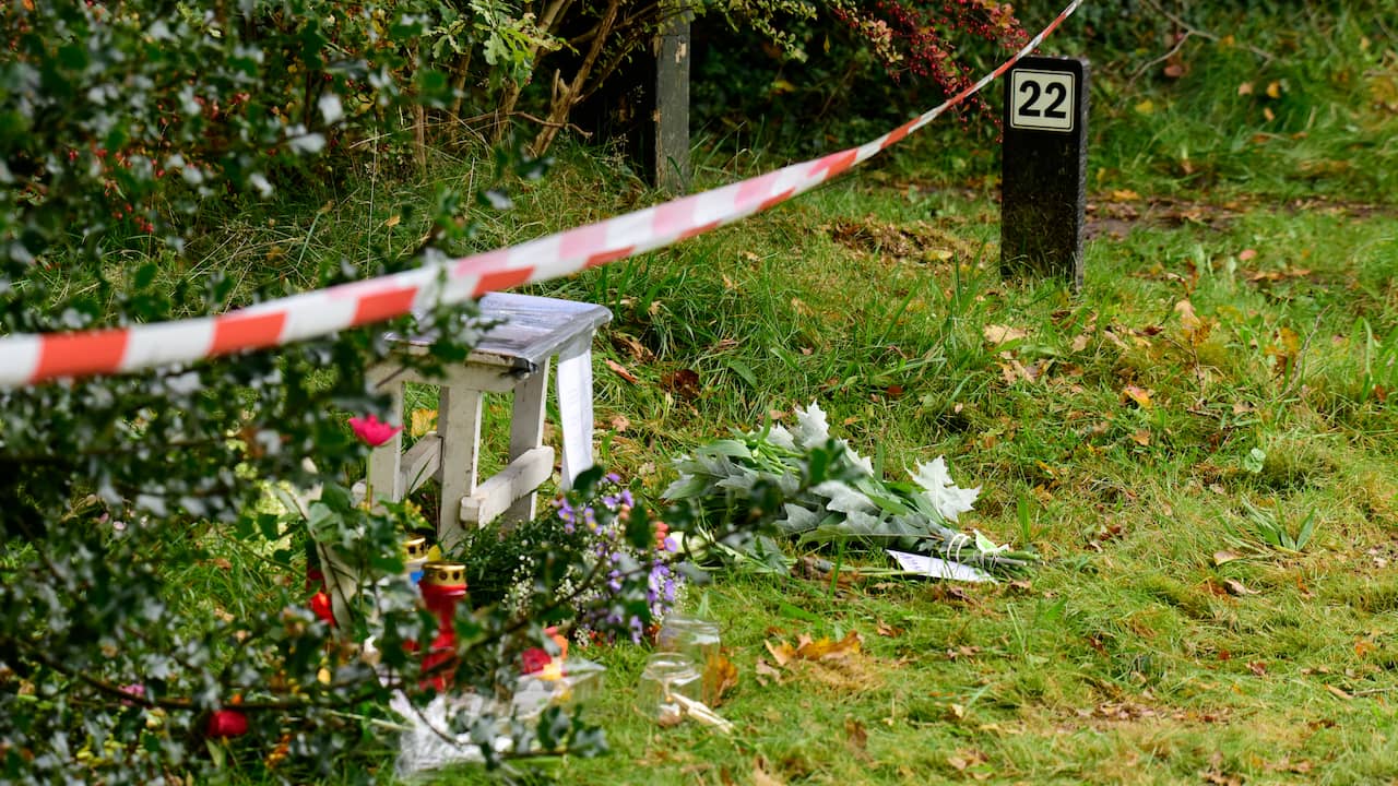 Zoon (14) bekent doodsteken ouders Katlijk