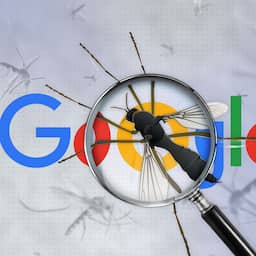 Explainer | Waarom wil Google 32 miljoen muggen loslaten in 