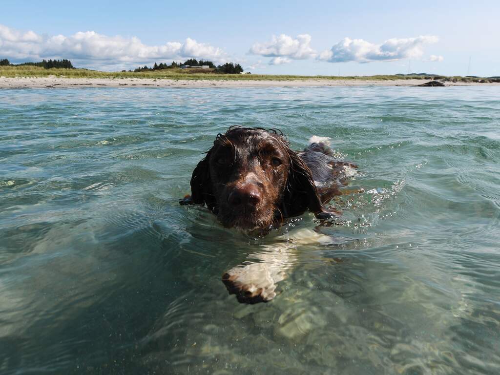 Weekendweerbericht: In de ochtend zonnig, 's middags kans op felle buien
