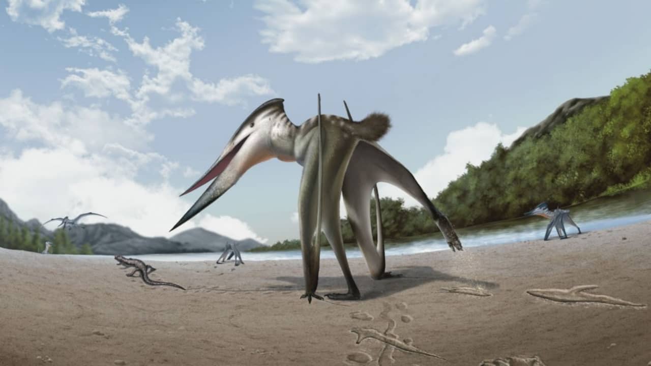 Vliegende dino jaagde 100 miljoen jaar geleden op vier poten op prooien