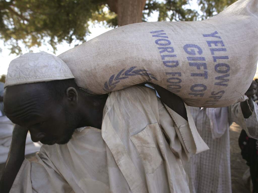 Tsjaad roept noodtoestand uit om gebrek aan tarwe door oorlog in Oekraïne