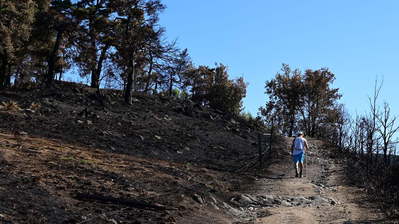 Foto bij Grote natuurbrand die in juli bij Bordeaux woedde is pas nu volledig gedoofd