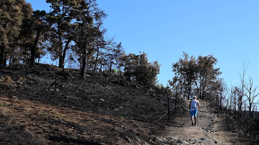 Grote natuurbrand die in juli bij Bordeaux woedde is pas nu volledig gedoofd