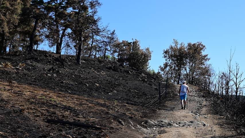Foto bij Grote natuurbrand die in juli bij Bordeaux woedde is pas nu volledig gedoofd