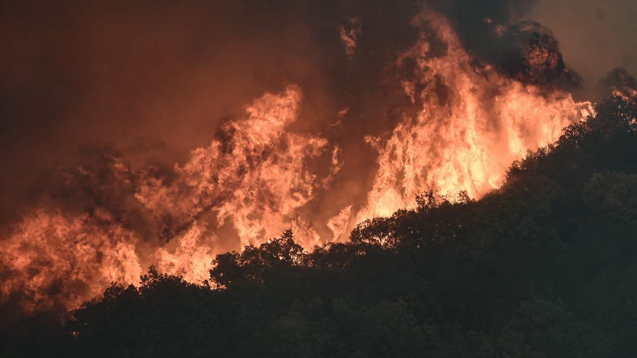 Vier Dorpen Op Kreta Ge vacueerd Vanwege Bosbrand Buitenland NU nl