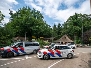 Ontsnapte wolven in Amersfoort verdoofd en gevangen, situatie inmiddels veilig