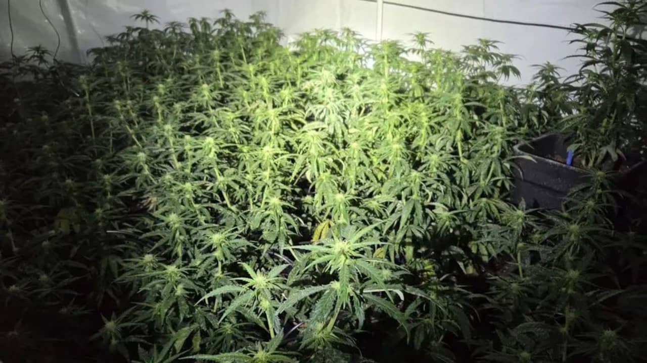 Politie ontdekt hennepkwekerij in pilaar van brug in A2 bij Vianen