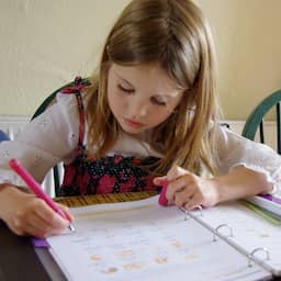 Thuisonderwijs tot vwo-diploma: 'We gebruikten gewone schoolboeken en toetsen'