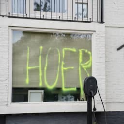 Tweetal uit Den Bosch opgepakt voor bekladden van huizen van azc-voorstanders