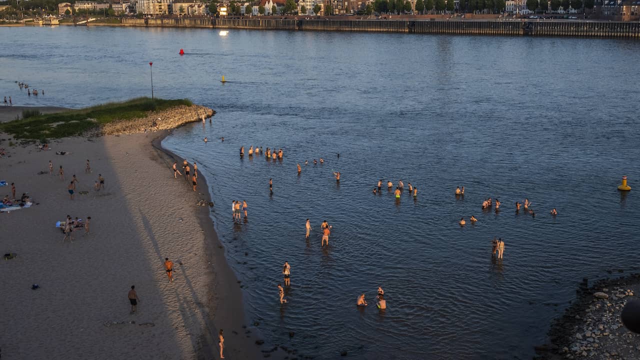 Live hitte | Zwemmer om het leven gekomen in Waal bij Nijmegen