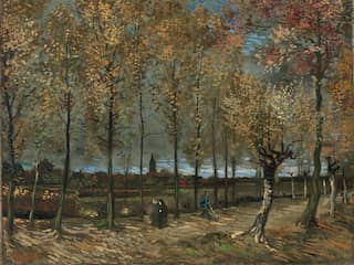 Populierenlaan Van Gogh