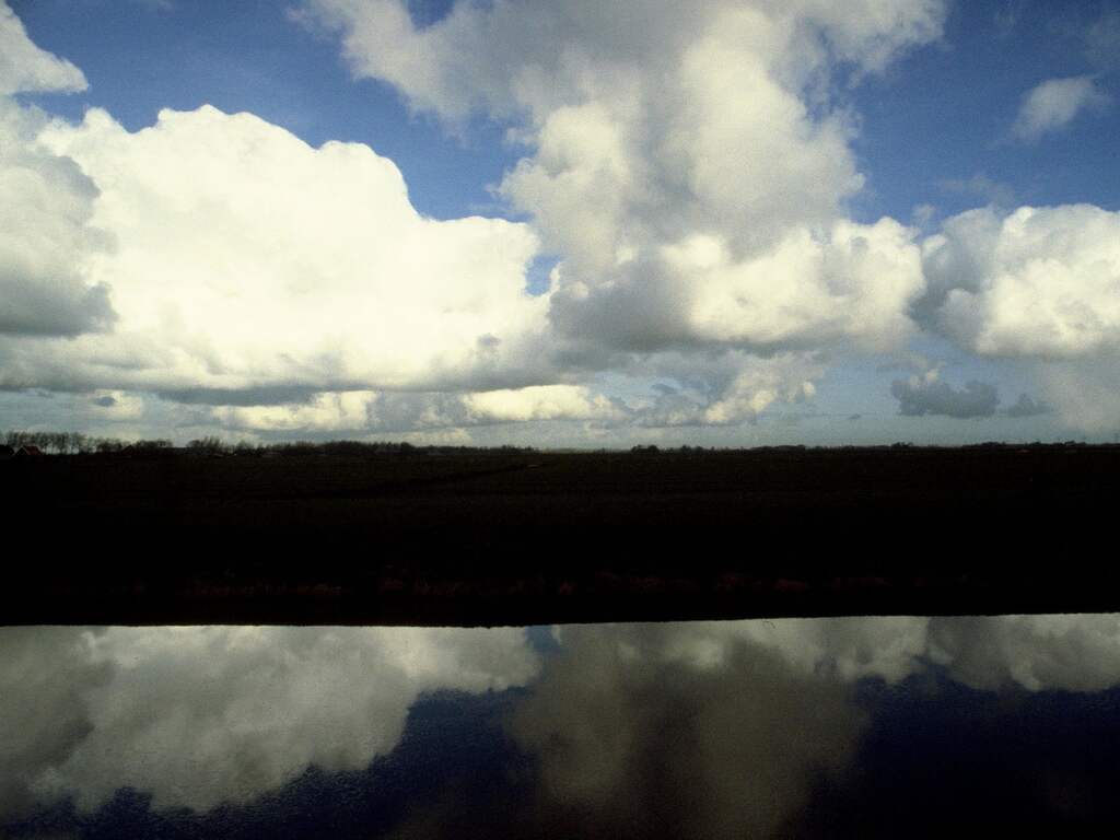 Weerbericht: Grauwe en grijze dag met af en toe regen en soms wat zon