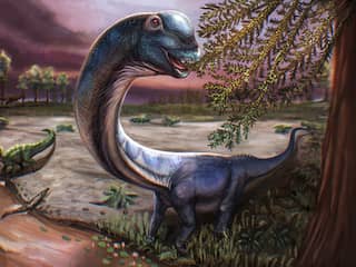 Overblijfselen van enorme dino gevonden: 'Grootste van Zuidoost-Azië'